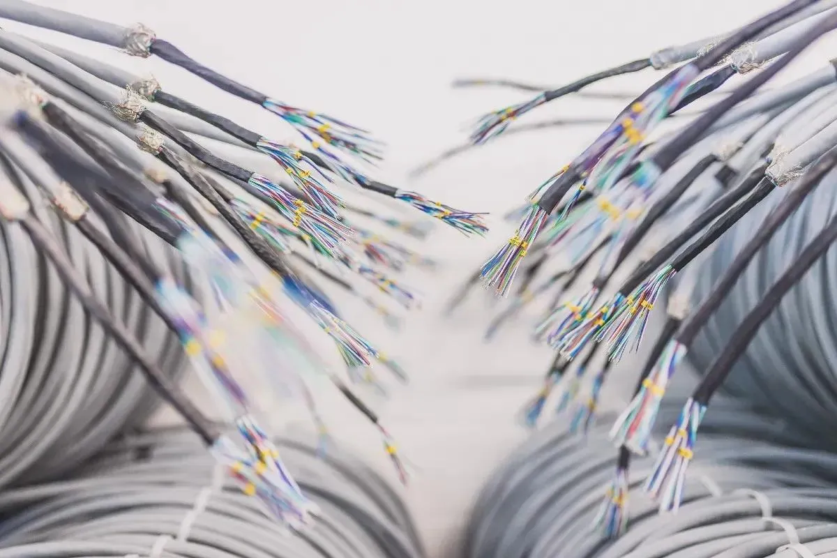 Abisolierte mehradrige Kabel, vorbereitet für die Konfektion